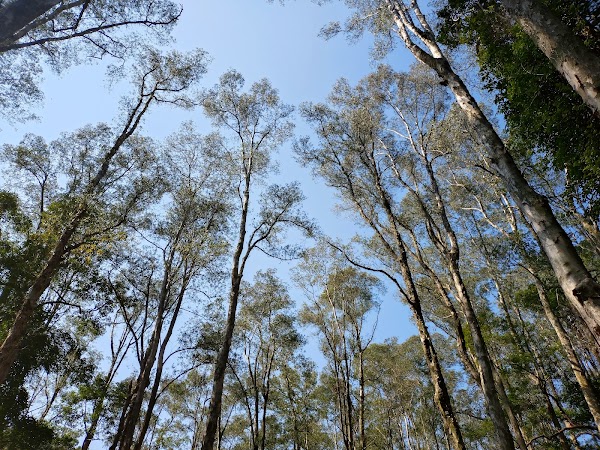 Upper Shing Mun Reservoir 2