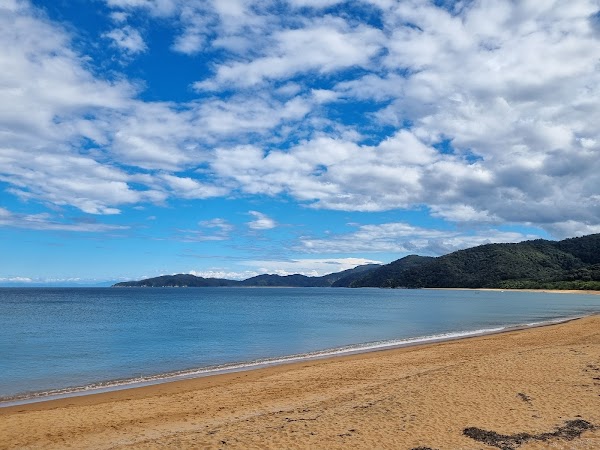 Totaranui Campground 5