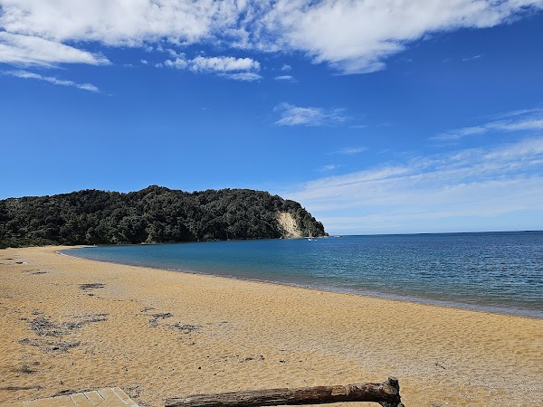Totaranui Campground 4
