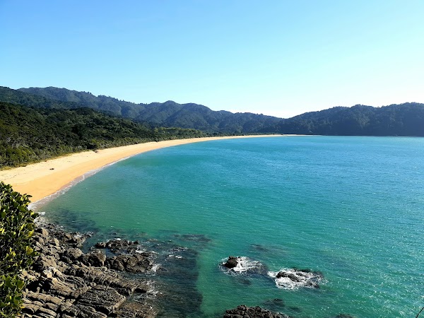 Totaranui Campground 3