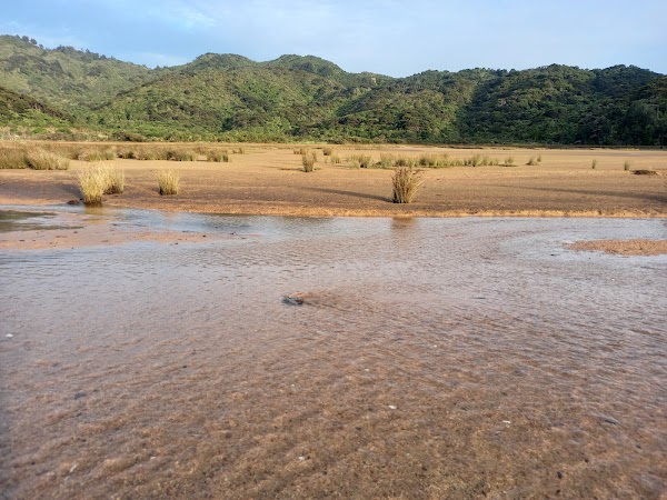 Totaranui Campground 2