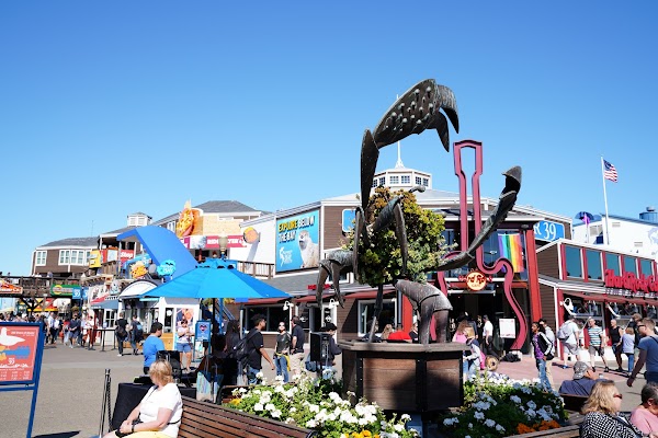 PIER 39 4