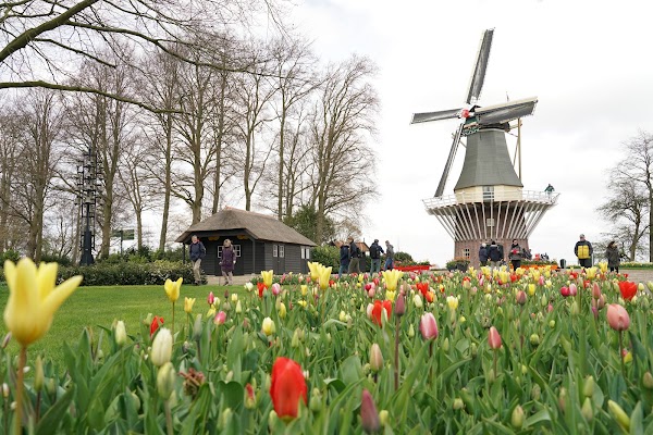 Keukenhof 4