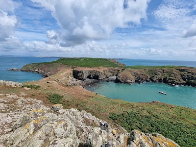 Skomer