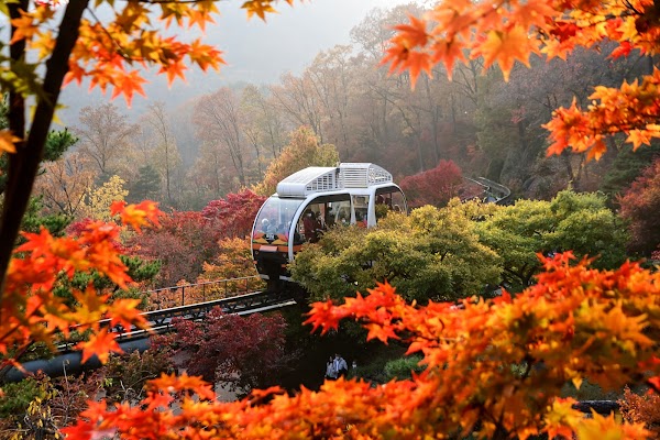 Hwadam Botanical Garden 5