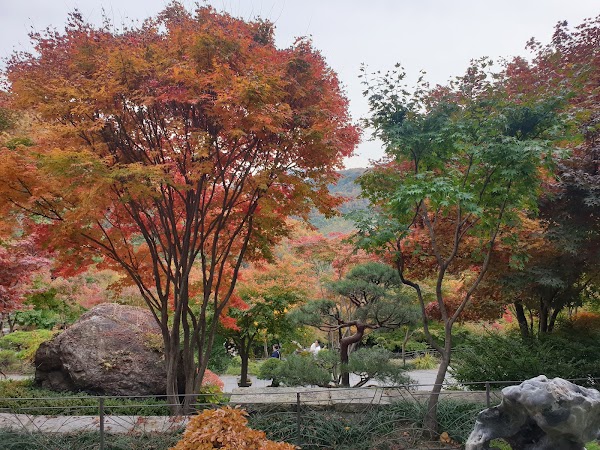 Hwadam Botanical Garden 2