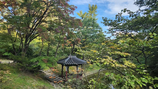 Changdeokgung Secret Garden 4