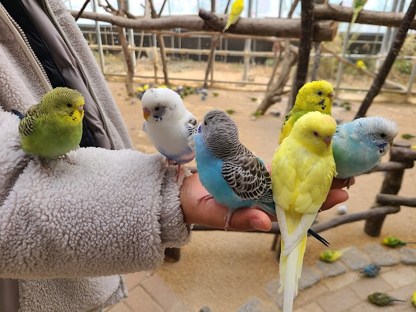 Gyeongju Bird Park 3