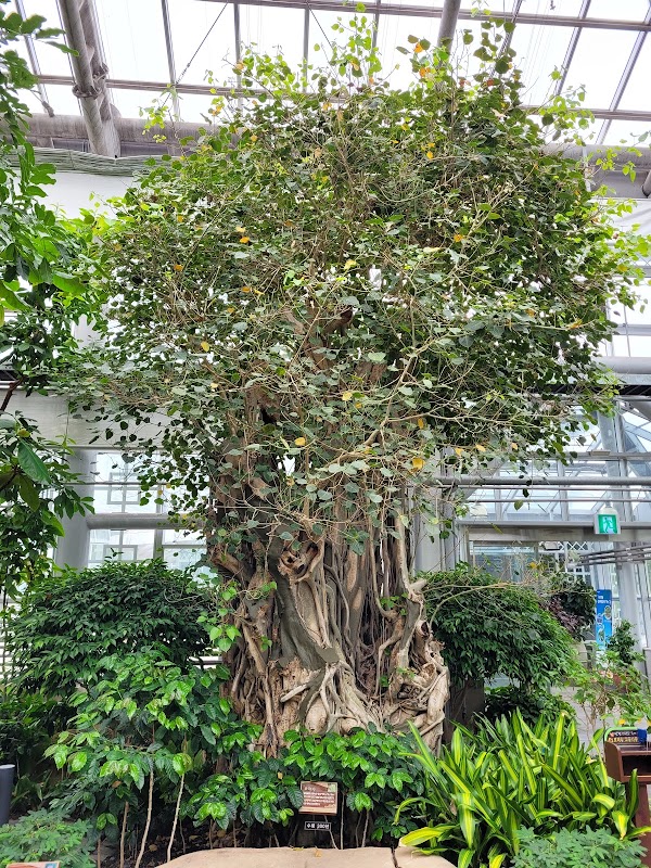 Gyeongju East Palace Garden 4