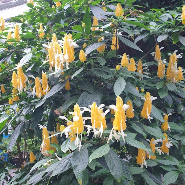 Gyeongju East Palace Garden 2