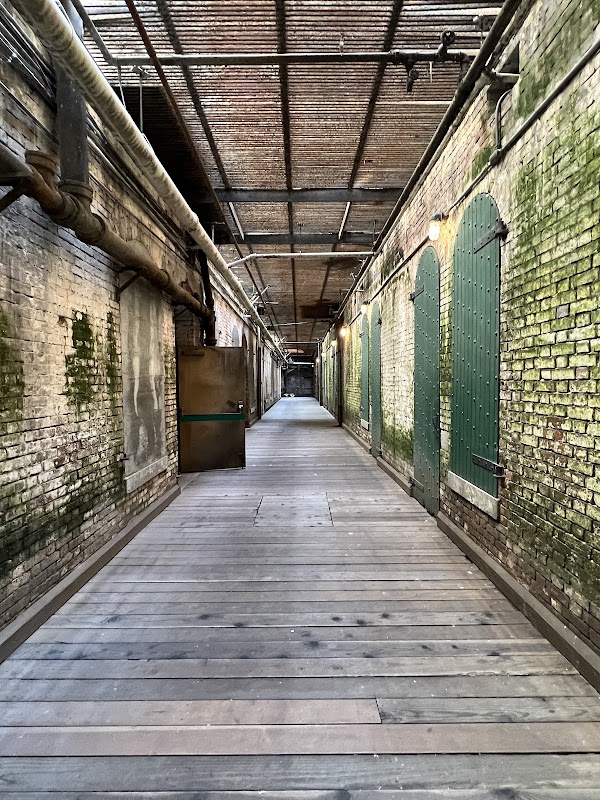 Alcatraz Island 2
