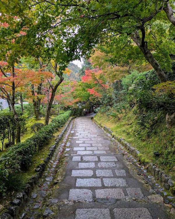 Saga Toriimoto Preserved Street 4