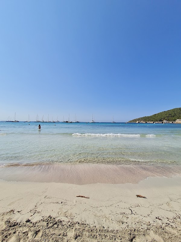 Platja de ses Salines 4