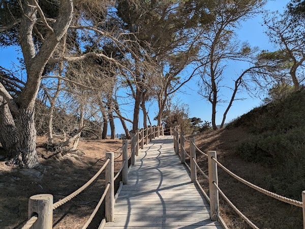 Platja de ses Salines 3