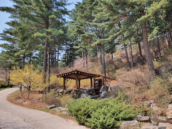 Jathyanggi Pureunsup Arboretum 1