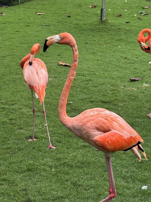 Port Oasis Eco Park 5