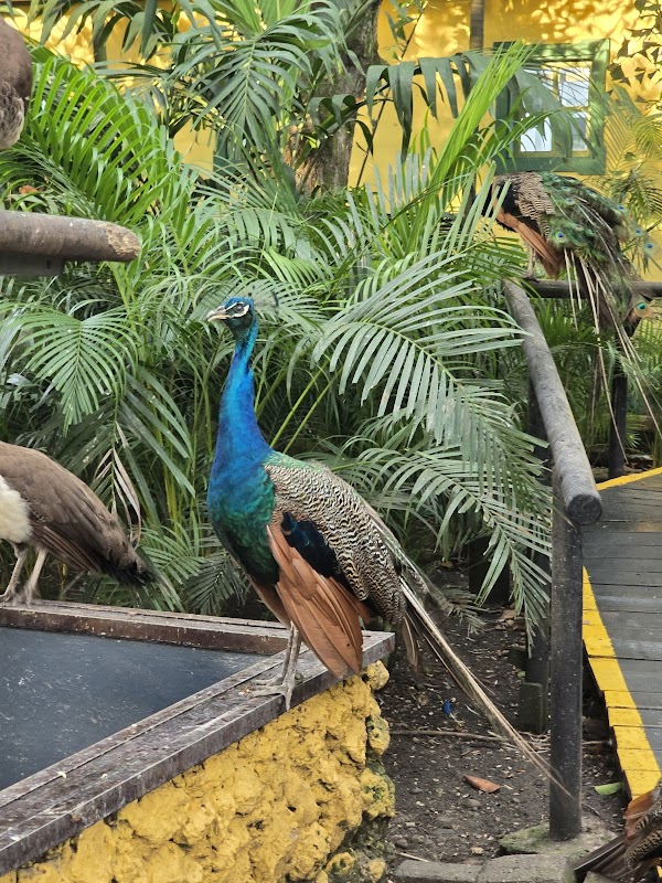 Port Oasis Eco Park 4