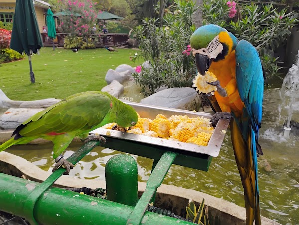 Port Oasis Eco Park 3