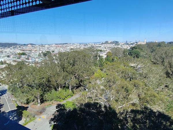 Hamon Observation Tower 6