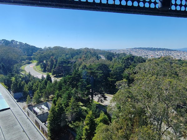 Hamon Observation Tower 4