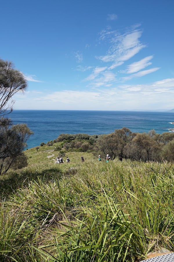 Burning Palms Beach 5