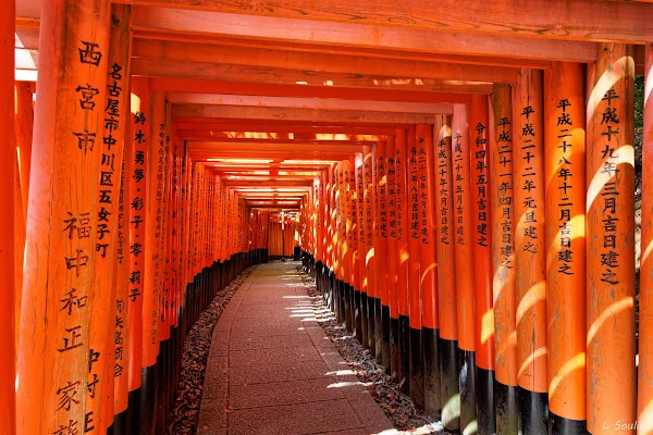 Fushimi Inari Taisha 6