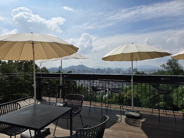 The Forest Choso Chaekbang