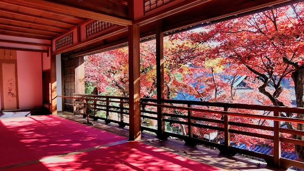 Yōkoku-ji Temple (Yanagidani Kannon) 5
