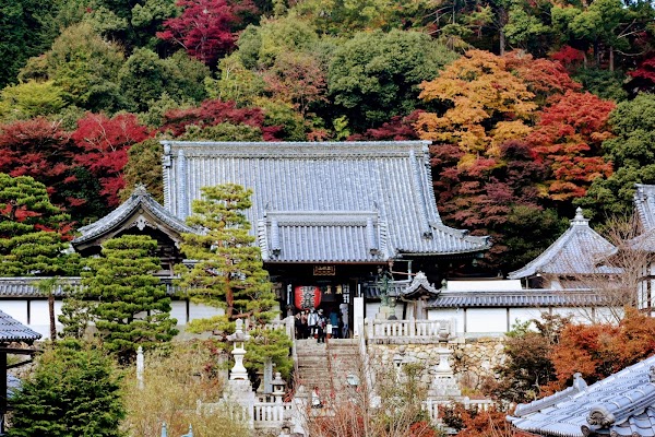 Yōkoku-ji Temple (Yanagidani Kannon) 4