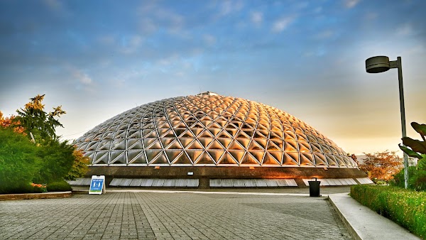 Queen Elizabeth Park 5