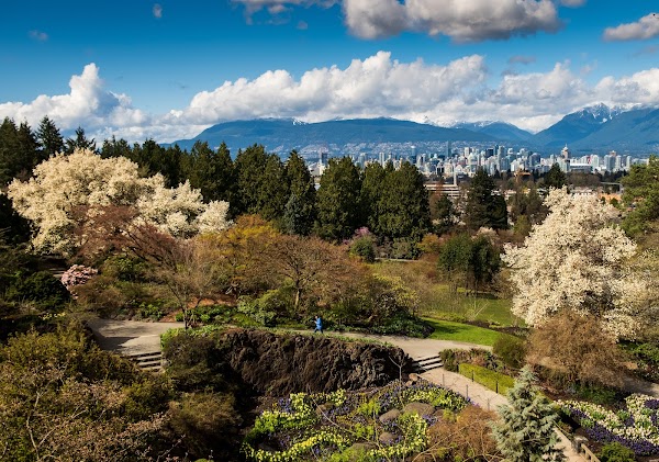 Queen Elizabeth Park 4