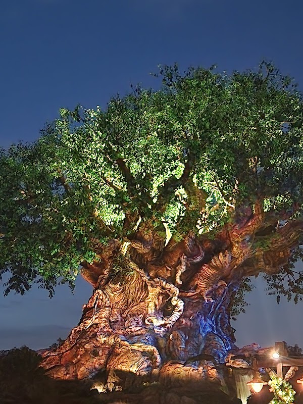 Tree of Life 3