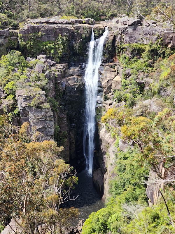 Budderoo National Park 5