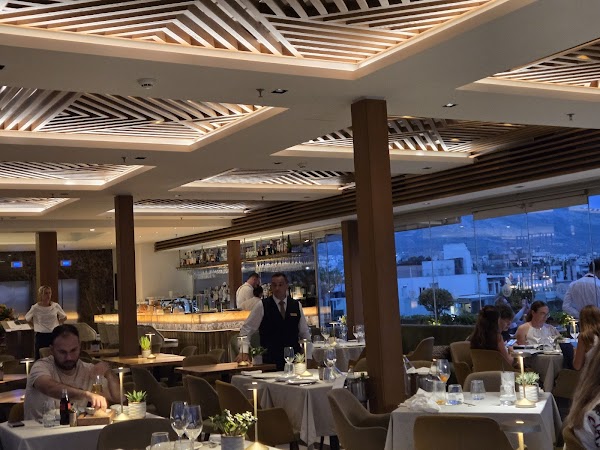 Electra Roof Garden 2