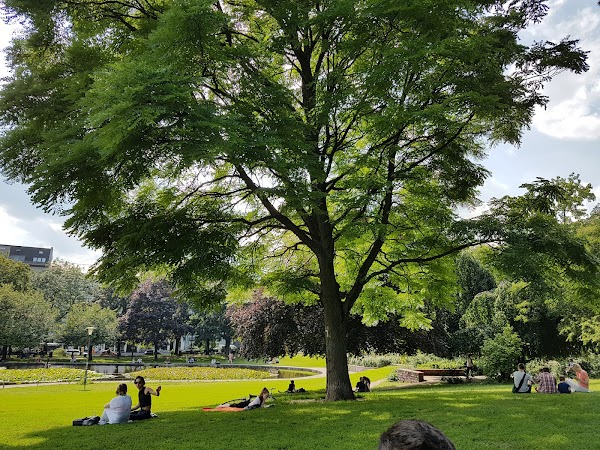 Volkspark am Weinberg 5