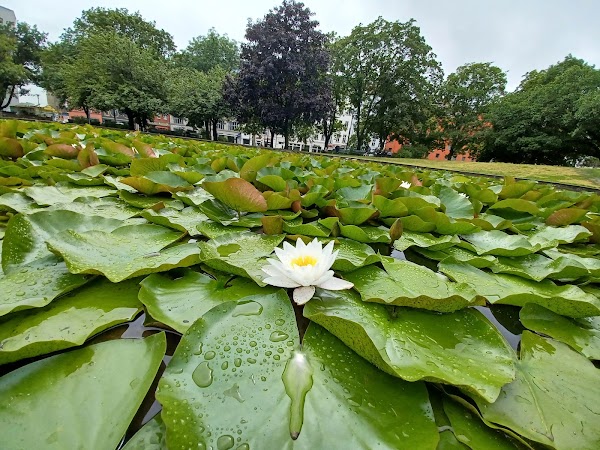 Volkspark am Weinberg 4