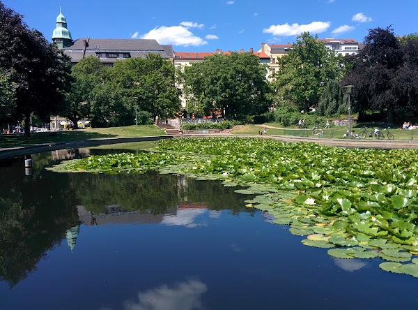 Volkspark am Weinberg 3