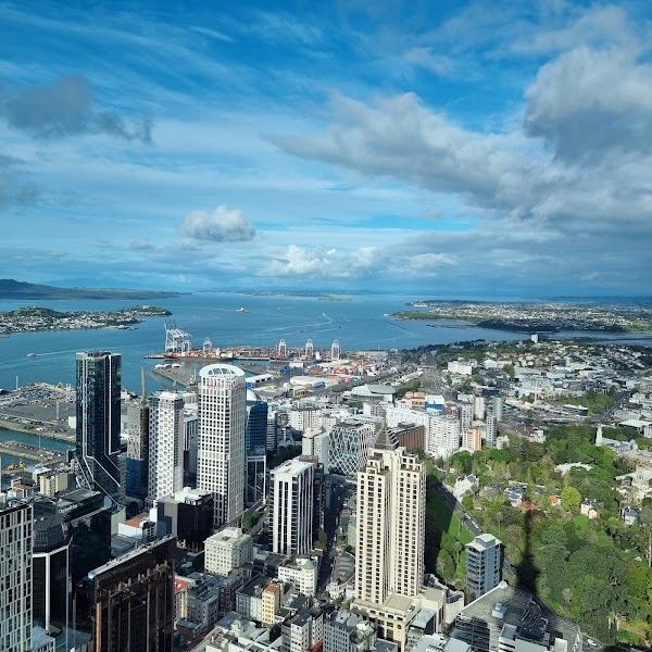 Auckland's Urban Symphony: A Family-Friendly City Exploration 3