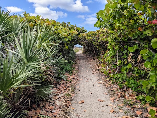 Blowing Rocks Preserve 3