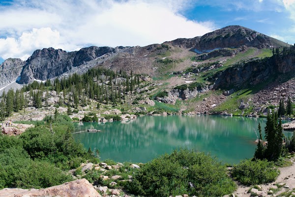 Uinta-Wasatch-Cache National Forest 1