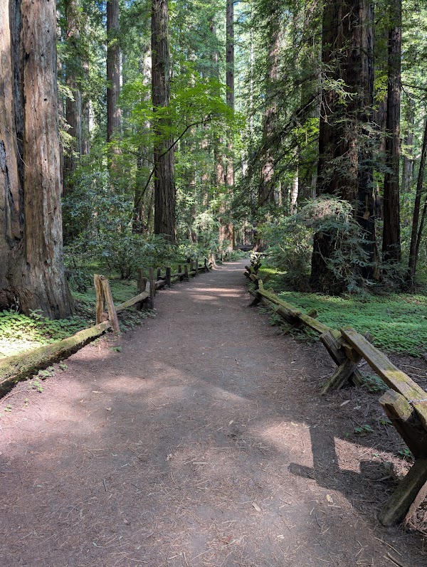 Armstrong Redwoods State Natural Reserve