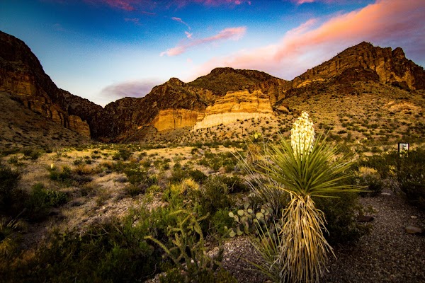 Big Bend National Park