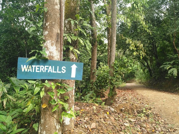 Nauyaca Waterfalls 3