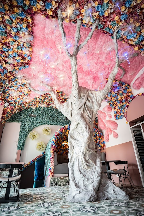 Wonderland Ljubljana 3