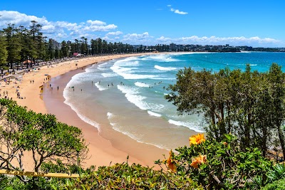 Manly Beach 2