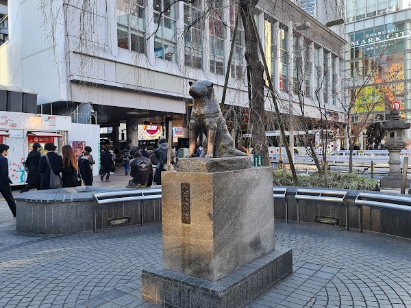 Shibuya Scramble Crossing 4