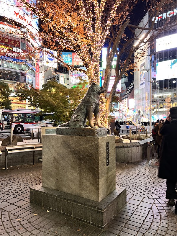Shibuya Scramble Crossing 2