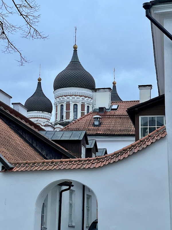 Alexander Nevsky Cathedral 3