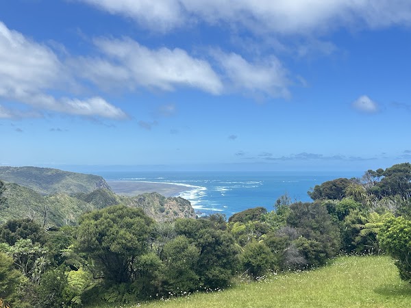 Mercer Bay Loop Walk 3