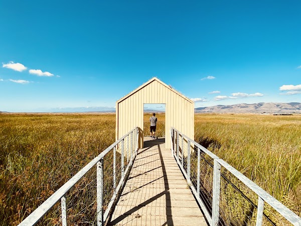 Alviso Marina County Park 1